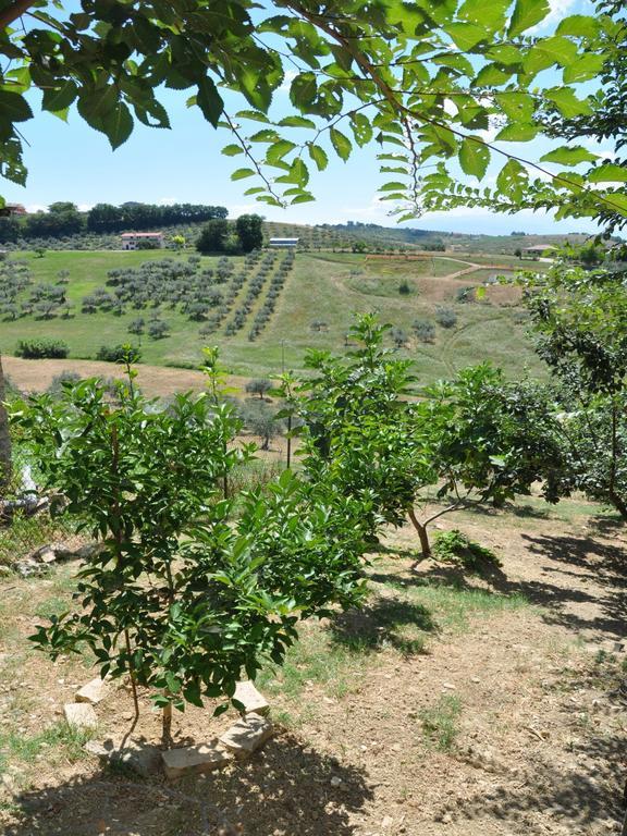 Casa Dona' Penne Guest House Bagian luar foto